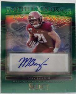 Max Borghi [Green] #YE-MBO
