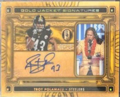 Troy Polamalu #GJS-TP