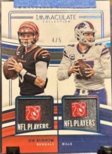 Joe Burrow / Josh Allen [Platinum] #15
