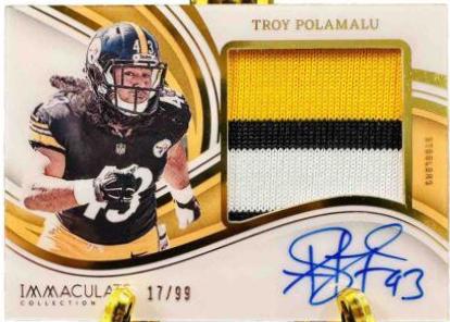 Troy Polamalu #16