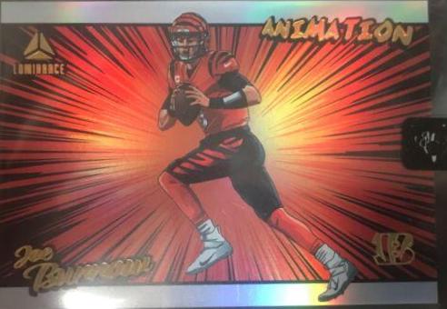 Joe Burrow #ANI-3