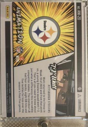 T. J. Watt #ANI-20