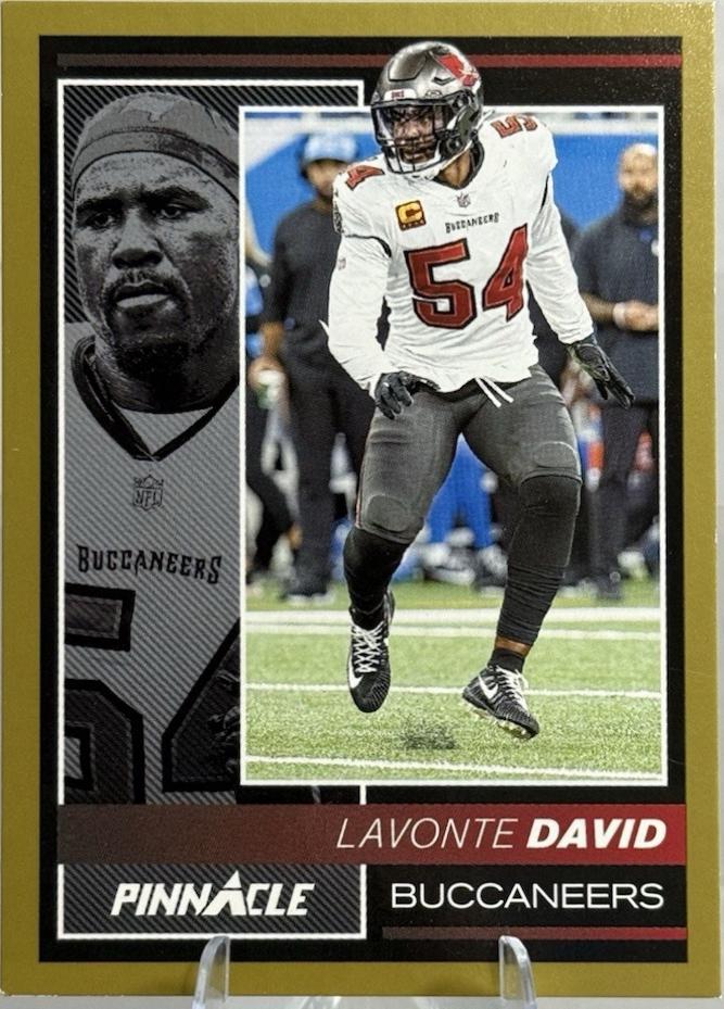 Lavonte David [Gold] #188