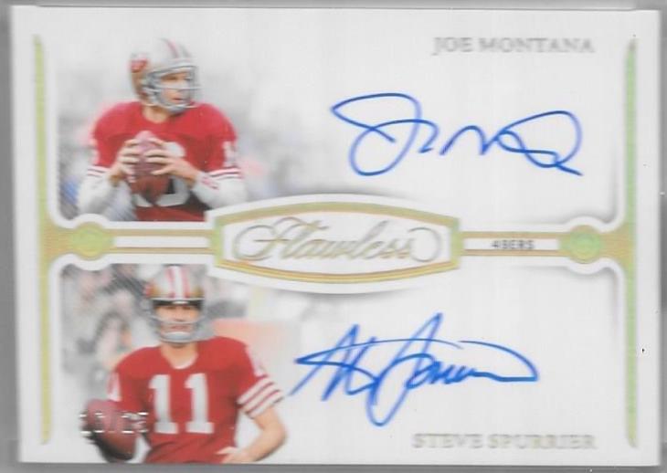 Joe Montana/Steve Spurrier [Platinum] #8