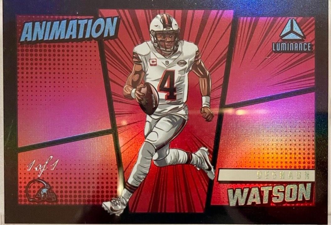 Deshaun Watson #ANI-DWN