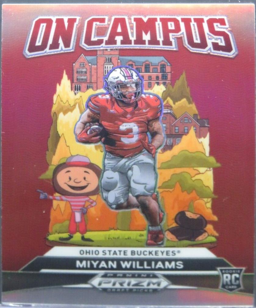 Miyan Williams #OC-MWS
