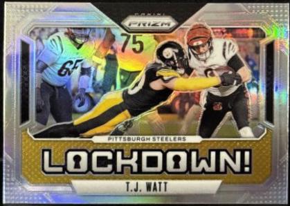 T.J. Watt #10