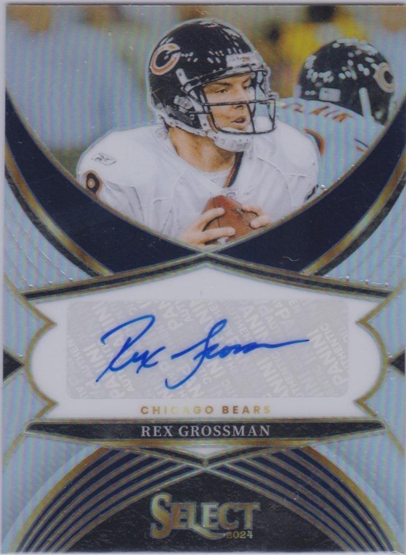 Rex Grossman #39