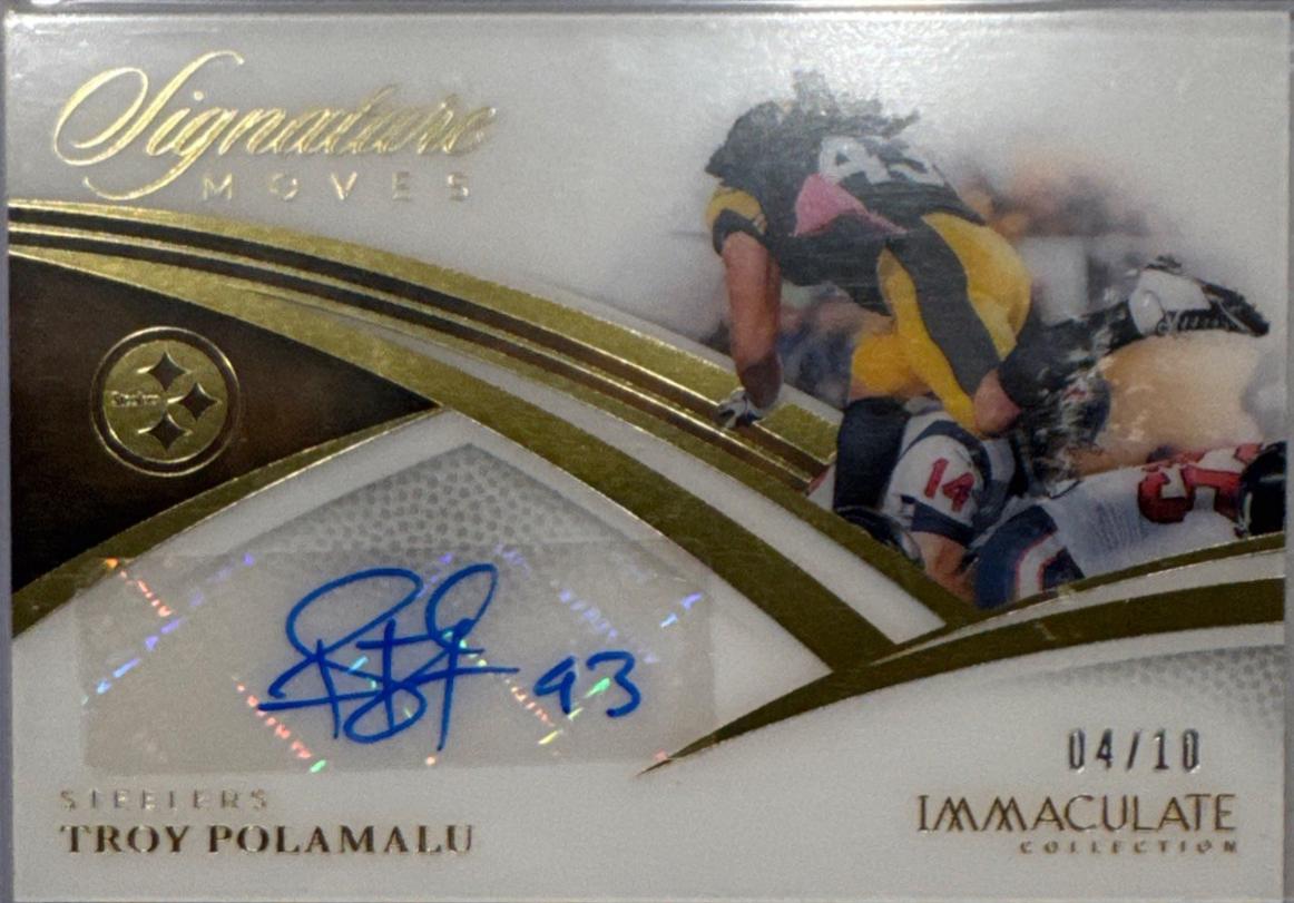 Troy Polamalu #4
