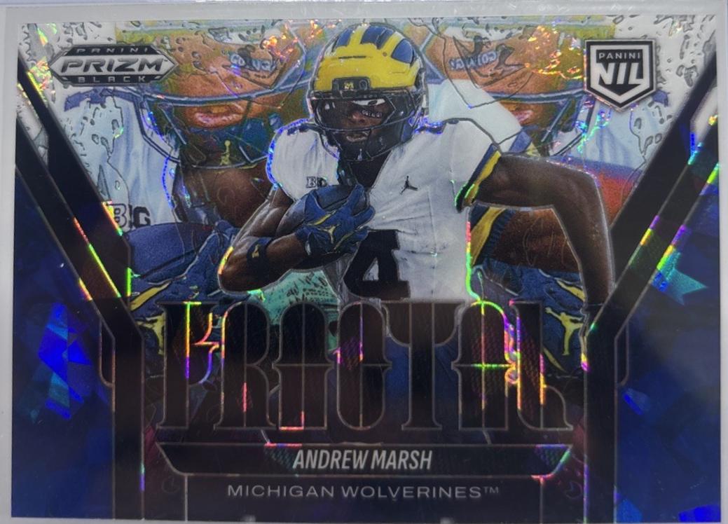 Andrew Marsh [Blue Ice] #16