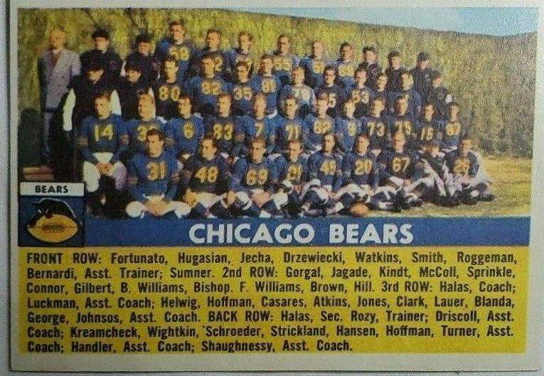 Chicago Bears #119