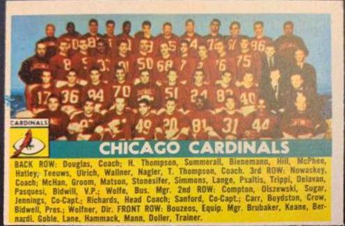 Chicago Cardinals #22