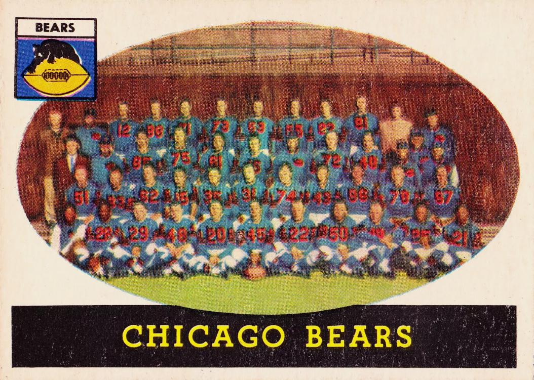 Chicago Bears #29
