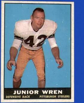 Junior Wren #111