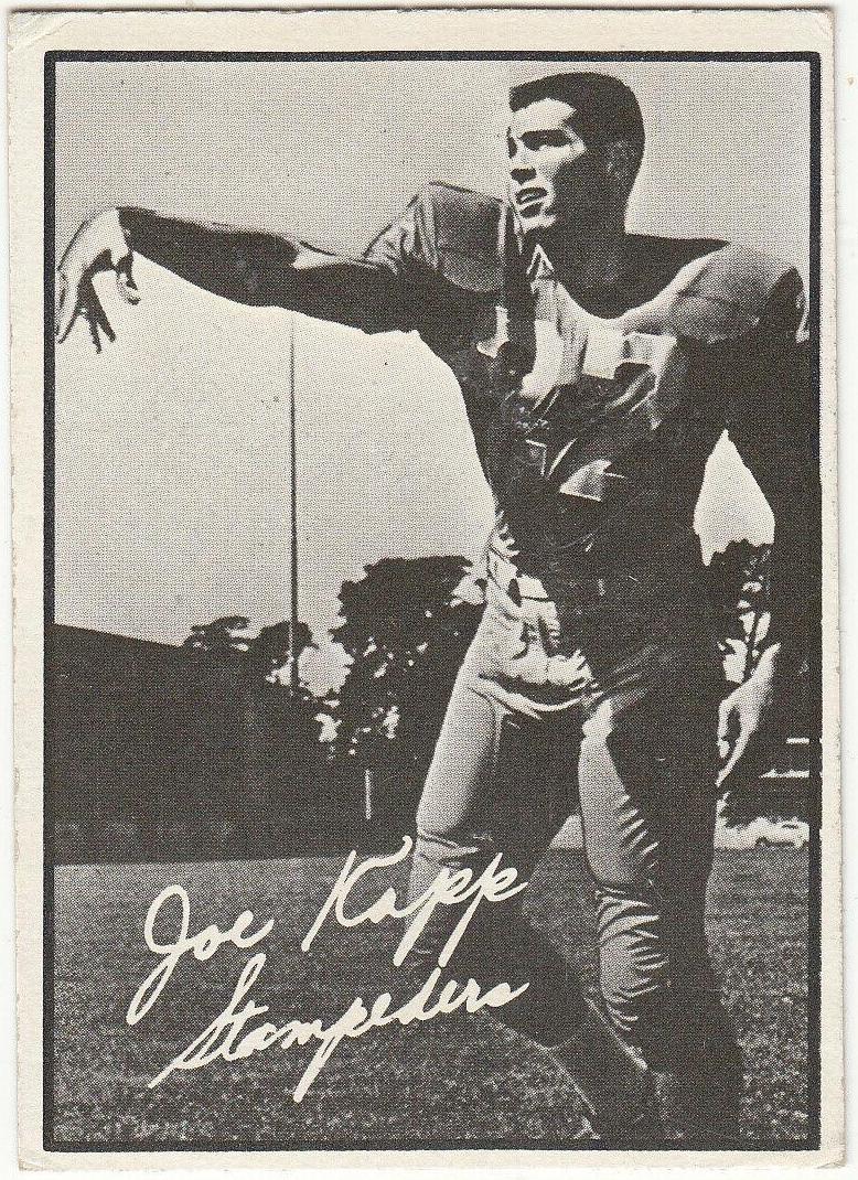 Joe Kapp #20