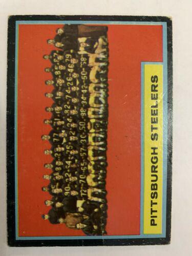 Steelers Team #138