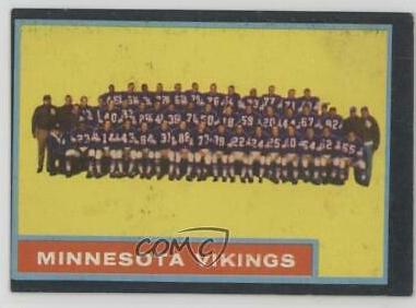 Vikings Team #101