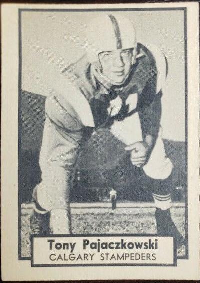 Tony Pajaczkowski #31