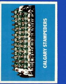 Calgary Stampeders #20