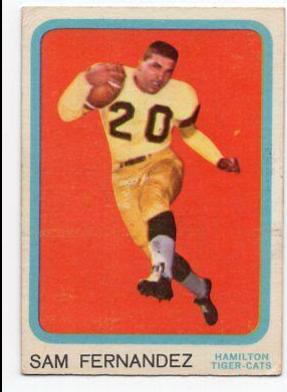 Sam Fernandez #33