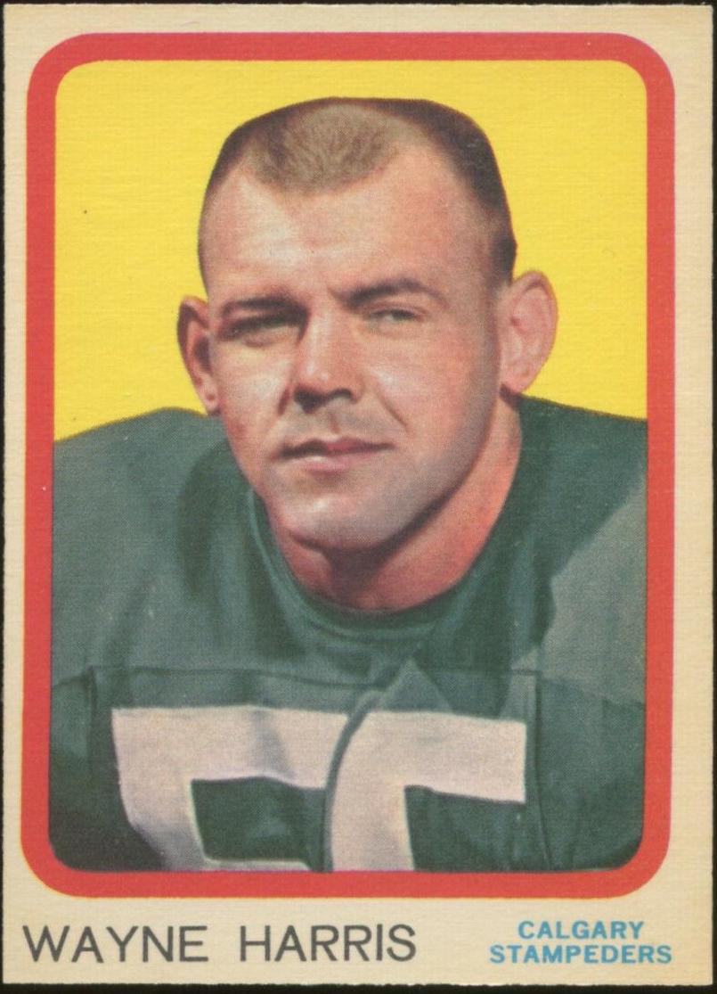 Wayne Harris #19