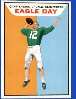 Eagle Day #19