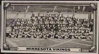 Minnesota Vikings #19