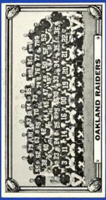 Oakland Raiders #17