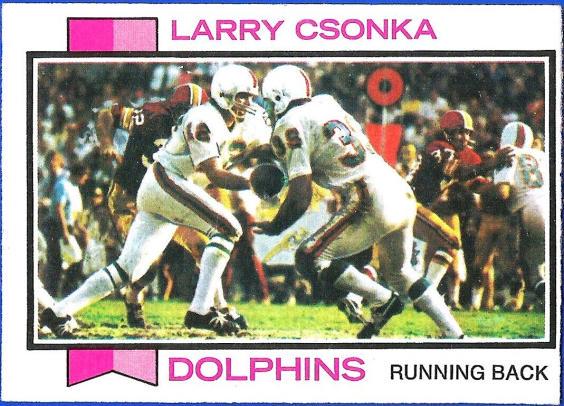 Larry Csonka #100