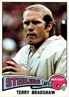 Terry Bradshaw #461