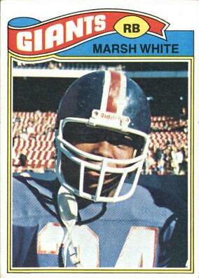 Marsh White #196