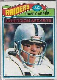 Dave Casper #380