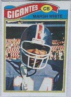 Marsh White #196