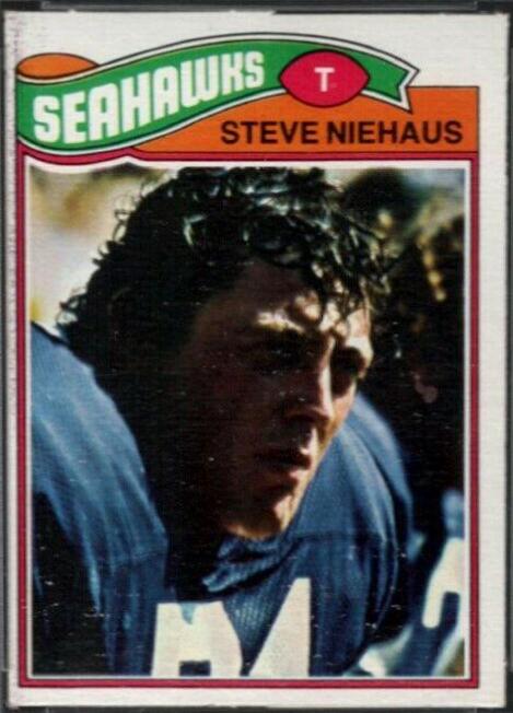 Steve Niehaus #132