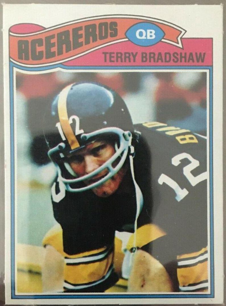 Terry Bradshaw #245