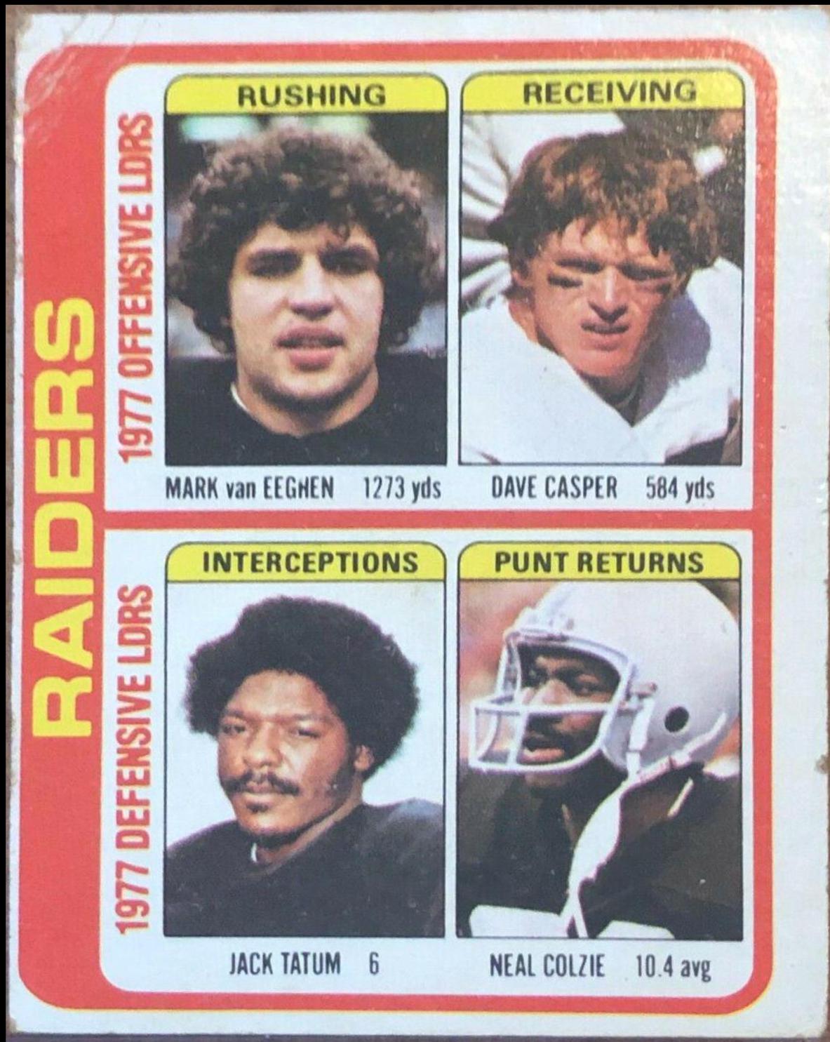 Raiders Team Checklist #520