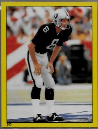 Ray Guy #260