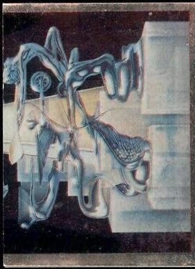 Super Bowl XVI [Theme Art Trophy] #4