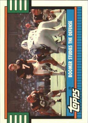 Bengals Team #502