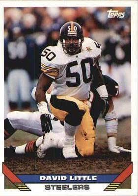 David Little #15