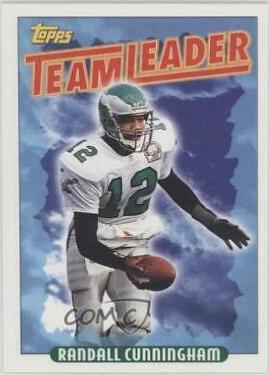Randall Cunningham #180