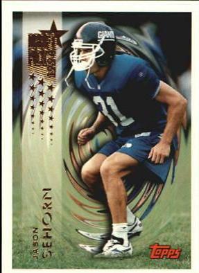 Jason Sehorn #528