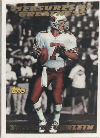 Steve Beuerlein #319
