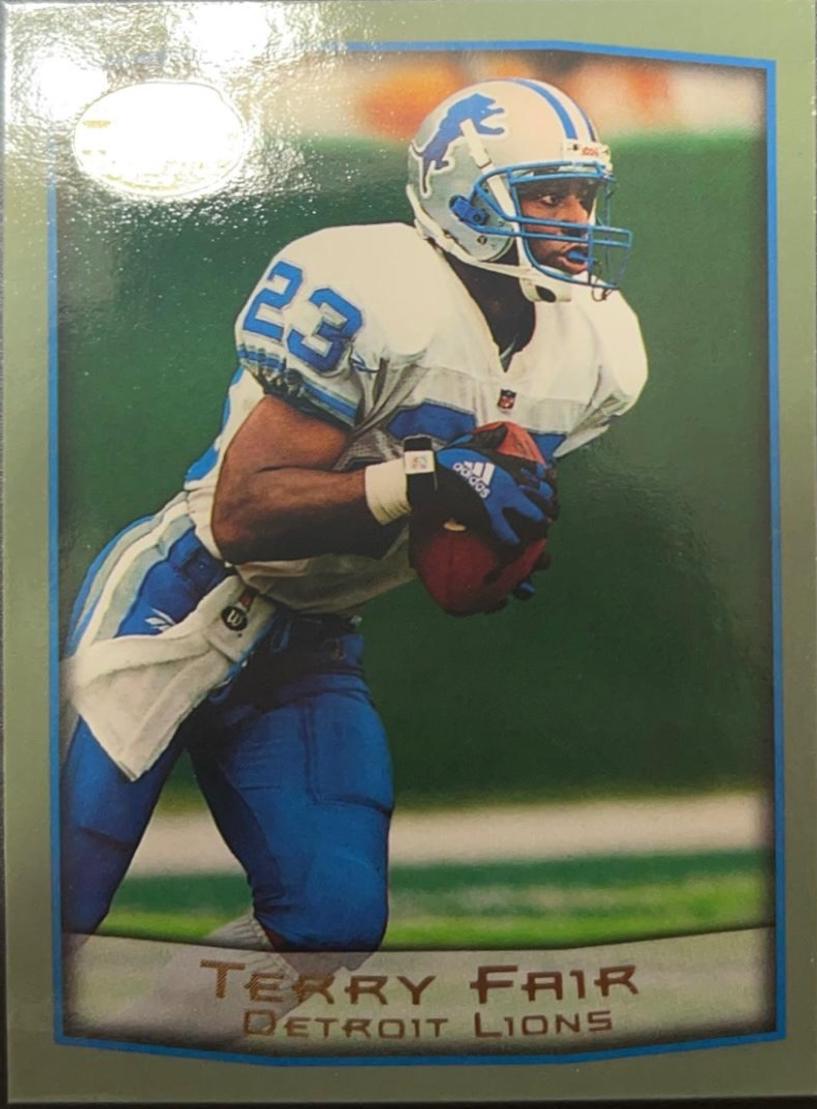Terry Fair [Collection] #313