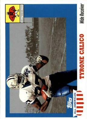 Tyrone Calico #147
