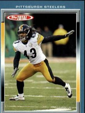 Troy Polamalu [Blue] #247