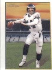 A.J. Feeley [White] #71