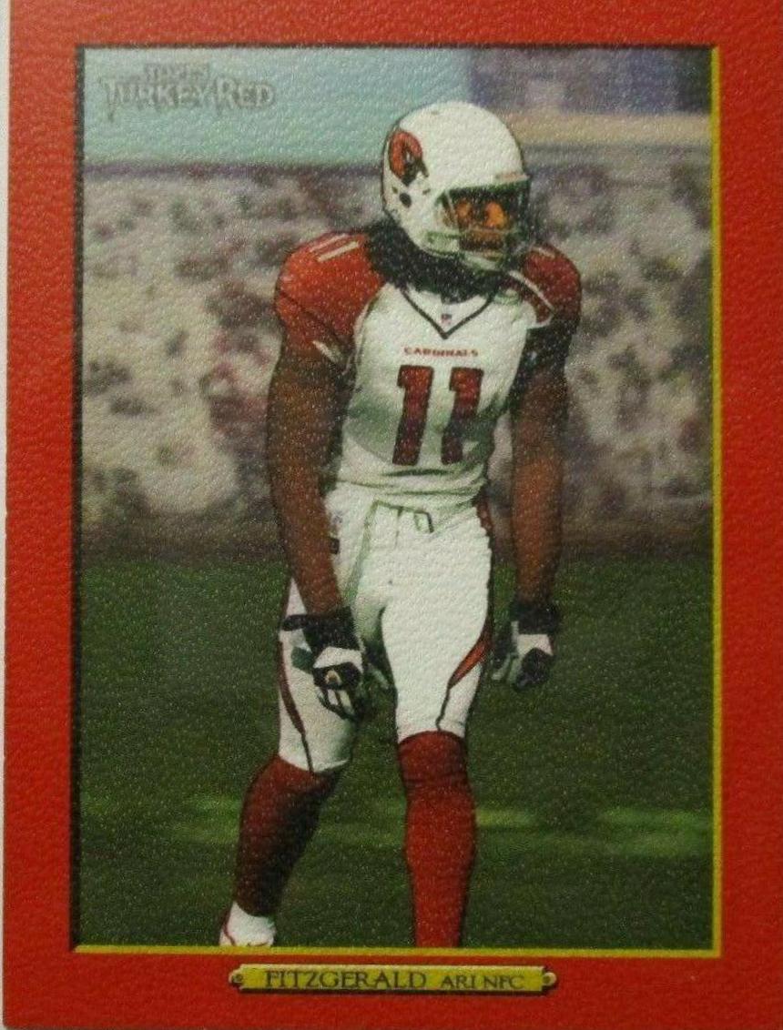 Larry Fitzgerald #289