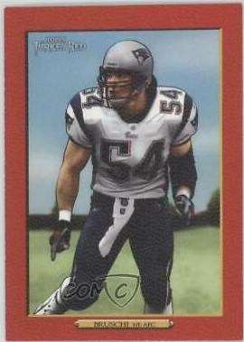 Tedy Bruschi #67