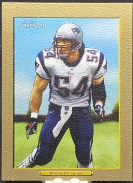 Tedy Bruschi [Gold] #67